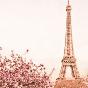 Meet your Posher, Louis